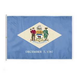Delaware Flags 8x12 foot