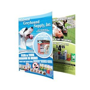 17" x 22" - Full Color Flyers- 100# Gloss Text With Aqueous. -1 Sided