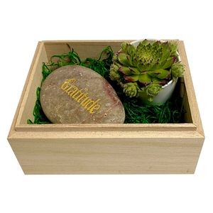 Gratitude Succulent Box