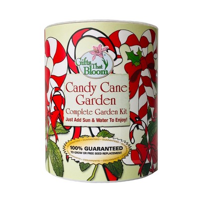 Candy Cane Garden in Eco-Friendly Grocan