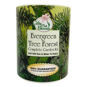 Evergreen Tree Garden in Eco-Friendly Grocan