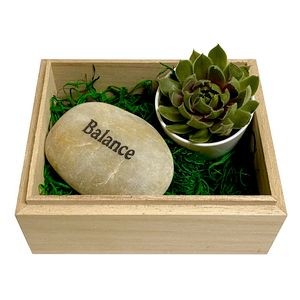 Balance Succulent Box