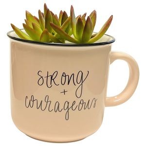 Succulent in Strong and Courageous Mug
