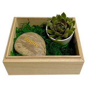 Inspire Succulent Box