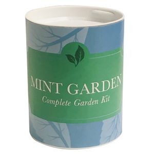Mint Garden in Eco-Friendly Grocan