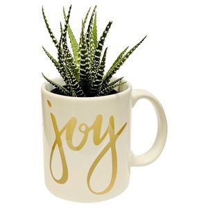 Succulent in Joy Mug