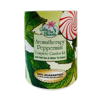 Aromatherapy Peppermint Garden in Eco-Friendly Grocan