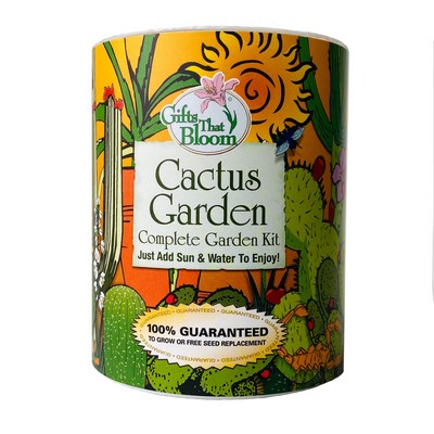 Cactus Garden in Eco-Friendly Grocan