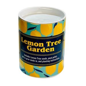 Lemon Tree Garden in Eco-Friendly Grocan