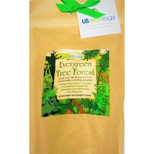 Evergreen Tree Forest Garden in Eco-Friendly GroBag