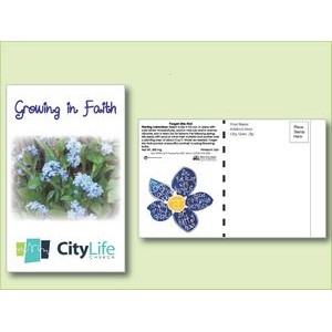 Forget-Me-Not Seed Packet - Postcard Mailer Size (4