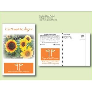 Sunflower 'Autumn Beauty' Seed Packet - Postcard Mailer Size (4