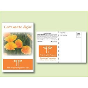 California Poppy Flower Seed Packet - Postcard Mailer Size (4
