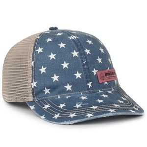Printed Distressed Tea-Stained Mesh Cap