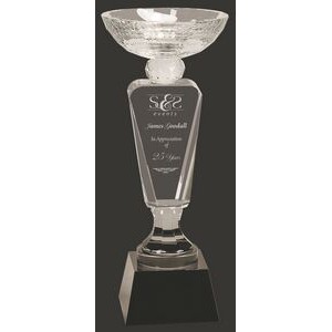 Classic Crystal Cup Trophy Award M - 11
