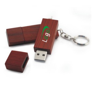 2 GB USB Eco Friendly 700 Series Hard Drive Key Ring