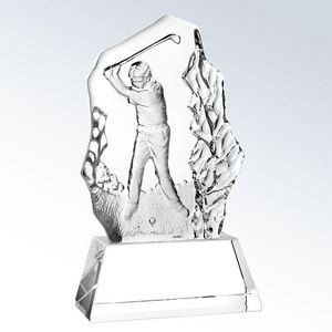 Male Golfer Swing Award