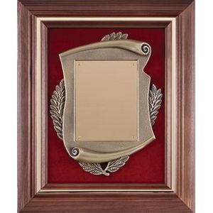 Walnut Frame with Scroll & Brushed Brass Plate on Red Velour, 12-1/2"x15-1/2"