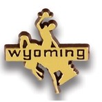 Wyoming Bronco Stock State Design Plastic Lapel Pin