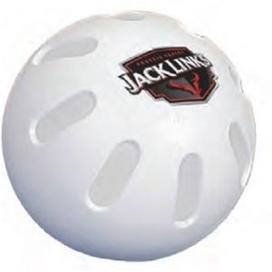 The Official Wiffle Ball