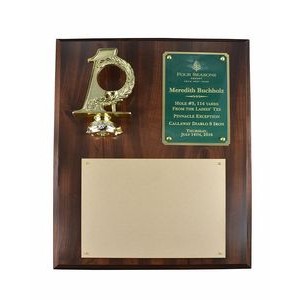 Simulated Walnut Hole in One Plaque