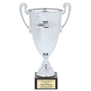 Silver Metal Italian Cup on Black Marble Base