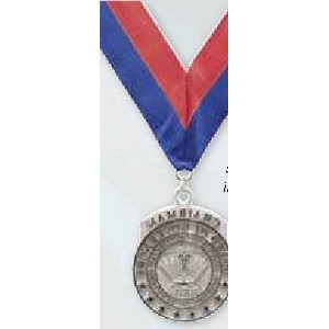 Custom Polished Silver Medallion w/ High Polished Finish & Gold Plat /2.75"