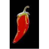 Chili Pepper Flash Lapel Pin