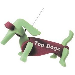 Weiner Dog on a leash