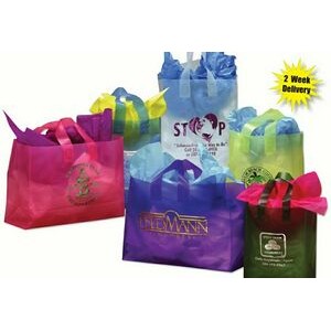 Hot Stamped Frosted Clear Shopping Bag (16