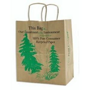 Natural Kraft Paper Shopping Bag (13