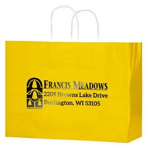 Gloss Colored Paper Shopping Bags