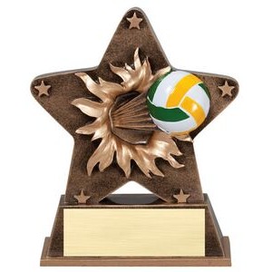 Volleyball Starburst Resin Award