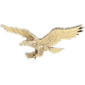 Eagle - Bright Gold Finish - Plaque Mount - 3-1/2" x 1-1/2"