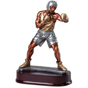 Boxer Resin Award - Male 9-1/4