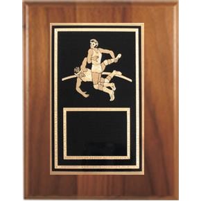 Cherry Plaque 6" x 8" - With a "Wrestling" 4" x 6" Activity Plate