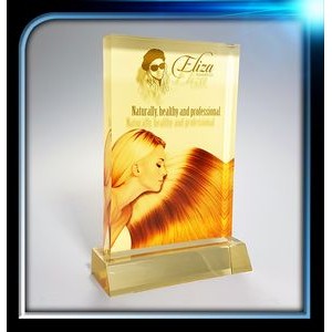 Executive Series Gold Rectangle Award w/Base (4"x6"x3/4")