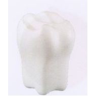 Medical Series Tooth Stress Reliever