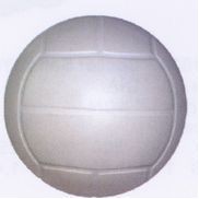 Sport Series Volley Ball Stress Reliever