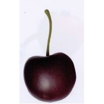 Food Fruit Series Cherry Stress Reliever