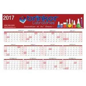 Wall Calendar: Medium Year-At-A-Glance Style, Dry Eraser Friendly W/ 4-Color Custom Graphics