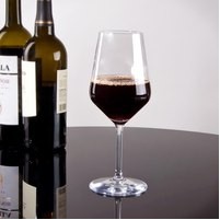 Stolzle 17.25 Oz. Revolution Mature Red Wine Glass