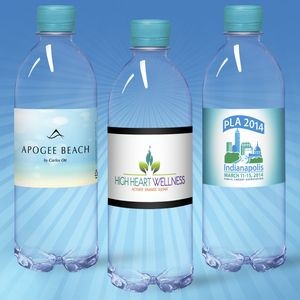 16.9 oz. Custom Labeled Water in Clear Bullet Bottle w/Berry Blue Cap