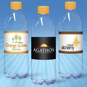 16.9 oz. Custom Labeled Water in Clear Bullet Bottle w/Tangerine Cap