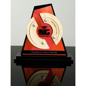 TRANSCEND: Acrylic Desk Award