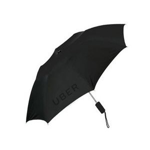 42" Arc Personal Umbrella