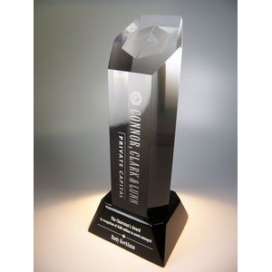 Hexagon Column Acrylic Award (2-1/2"x3-1/2"x13")