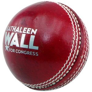 Regulation Cricket Ball