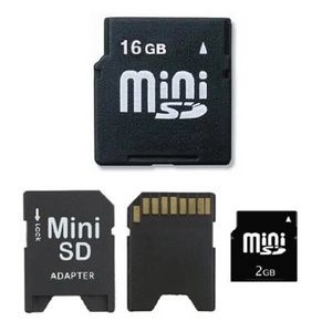 16 GB Mini SD Card