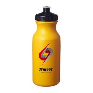 20 oz. SPIRIT Water Bottles with Push Cap w/ Full Color Imprint